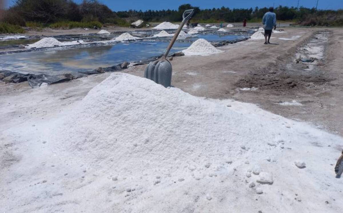 En Escuinapa sale el primer embarque de sal de la temporada 2023