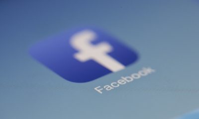 Se está librando una batalla en línea por el lenguaje en redes sociales como Facebook, Instagram y TikTok