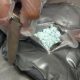 Estados Unidos presiona a los hijos de "El Chapo" con nuevos cargos por crisis de fentanilo