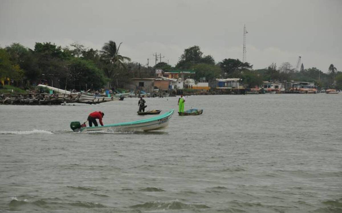 Acusan que las redes de arrastre dañan a la pesca en las lagunas de Veracruz