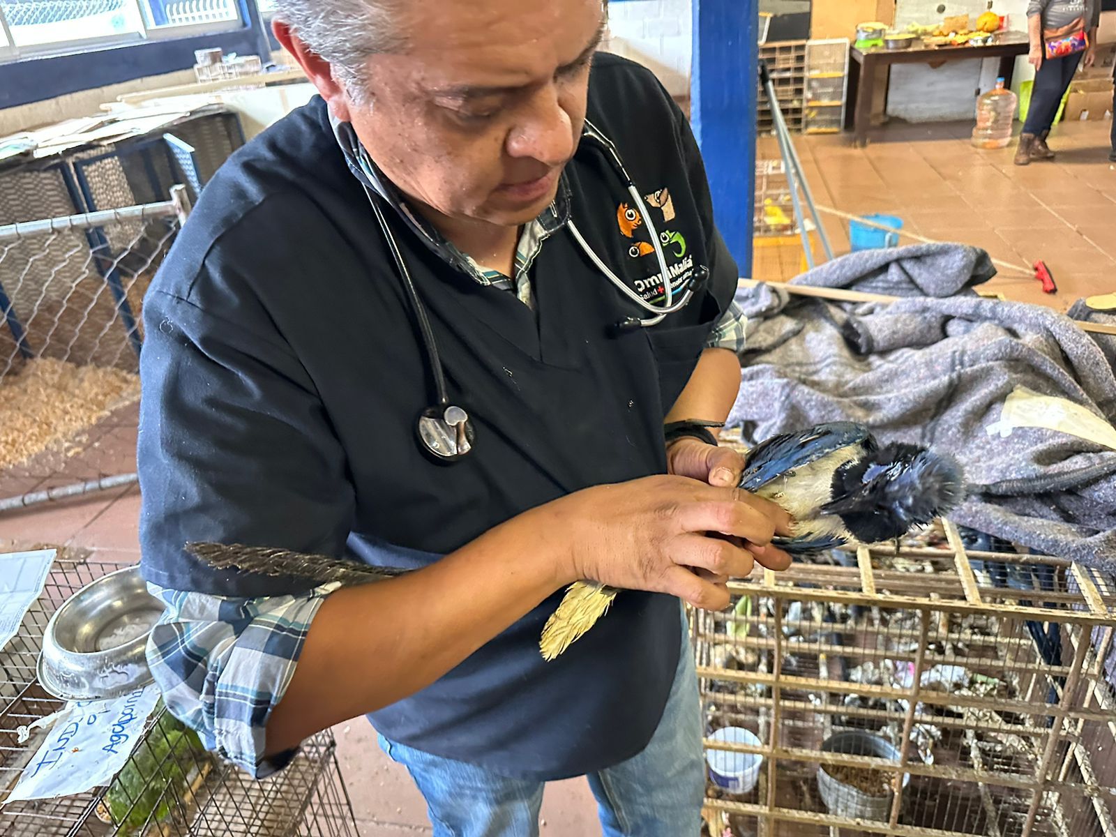 Así es la rehabilitación de mil 500 aves rescatadas del tráfico de especies en la Ciudad de México
