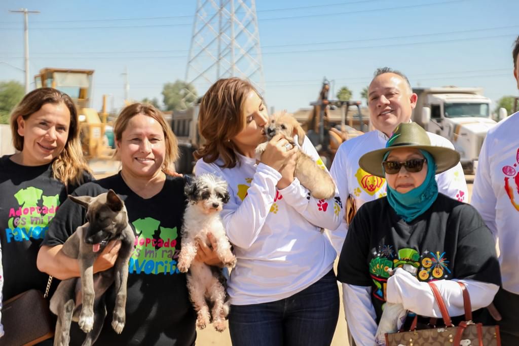 El Santuario Milly combate la problemática de perros y gatos callejeros en Mexicali: Marina del Pilar Ávila