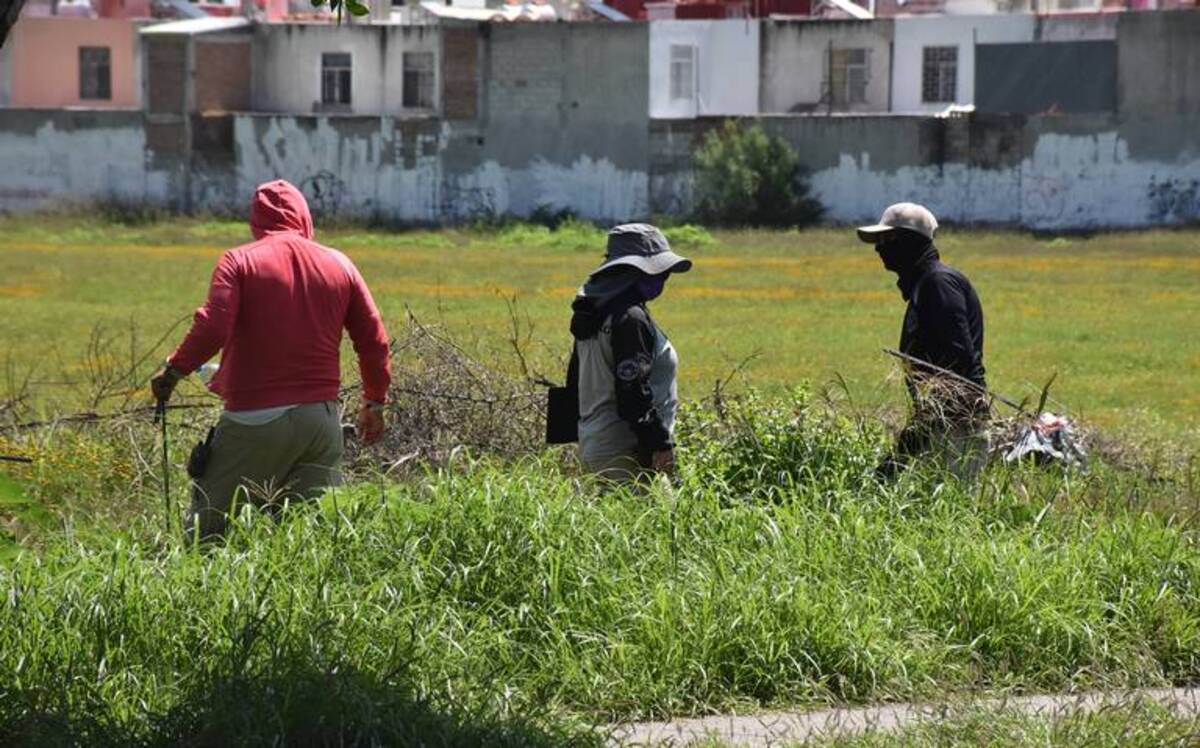 El obipo de Celaya exige a las Fiscalías no poner en riesgo a los buscadores de desaparecidos