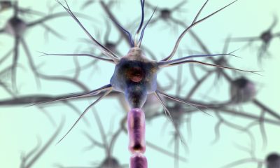 Neurofitness: Entrenar el cerebro creando nuevas rutas neuronales