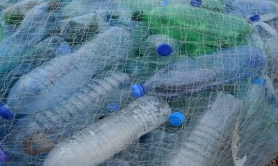Así puede la economía circular ayudar a reducir el desperdicio de plástico en 80%