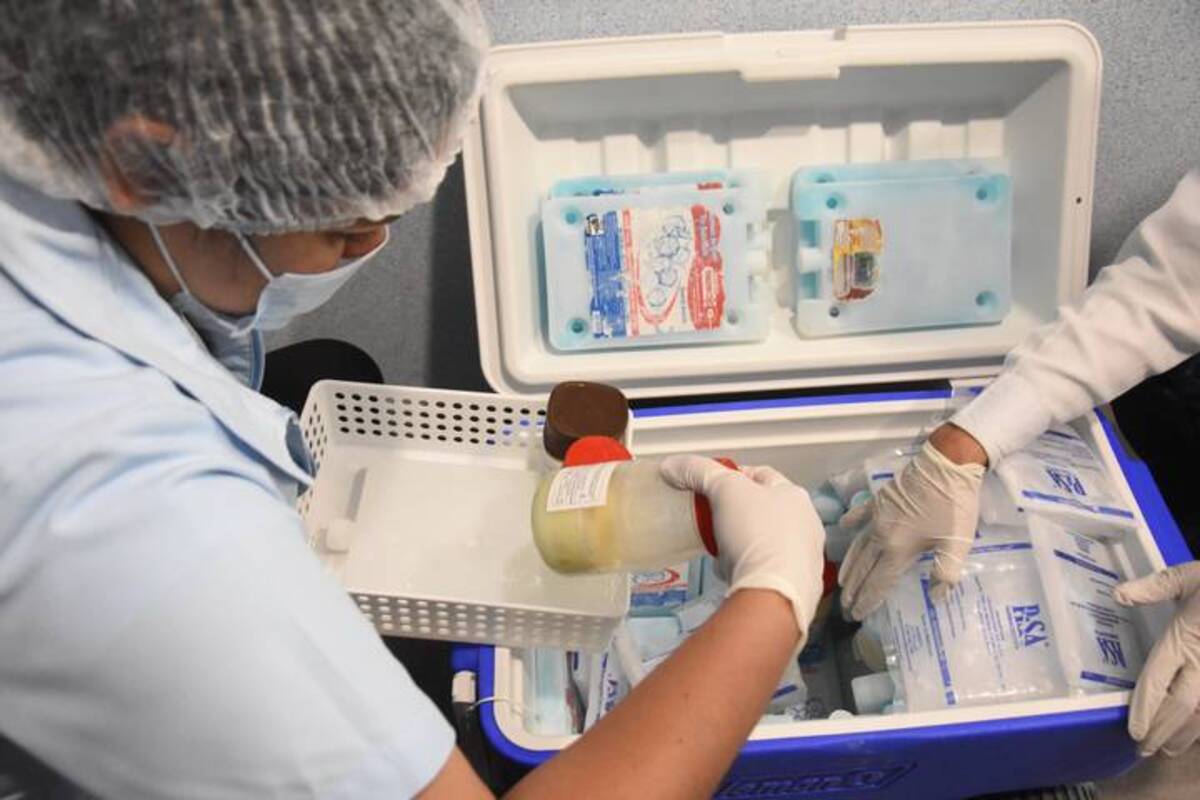 Las autoridades sanitarias del país deben promover la donación de leche materna: PT