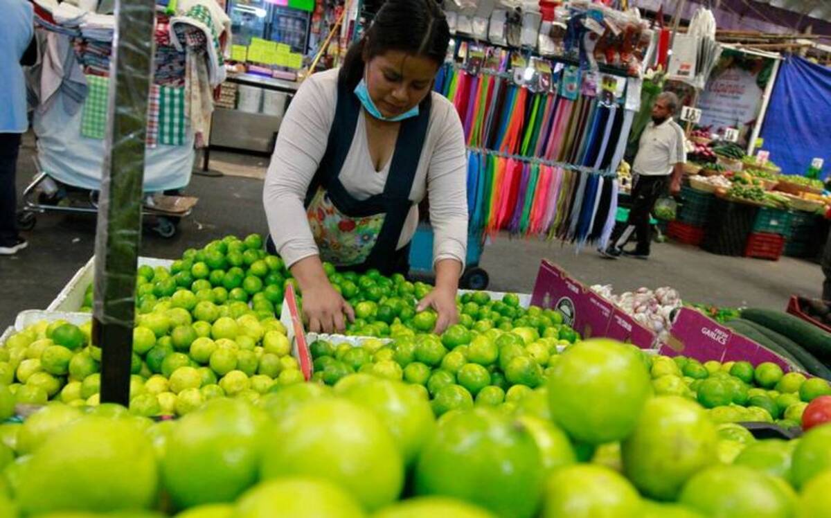 El precio del limón michoacano sigue al alza, a pesar del plan antiinflacionario de AMLO