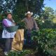 Firmas internacionales invierten 420 mil dólares para financiar familias mexicanas productoras de café