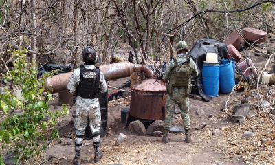Desde 12 puertos en Sinaloa, cárteles mueven droga hacia Baja California Sur