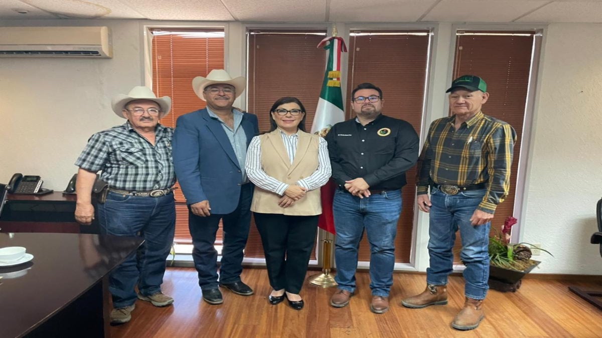 Productores de chiltepín en Sonora piden que se regule para obtener la denominación de origen