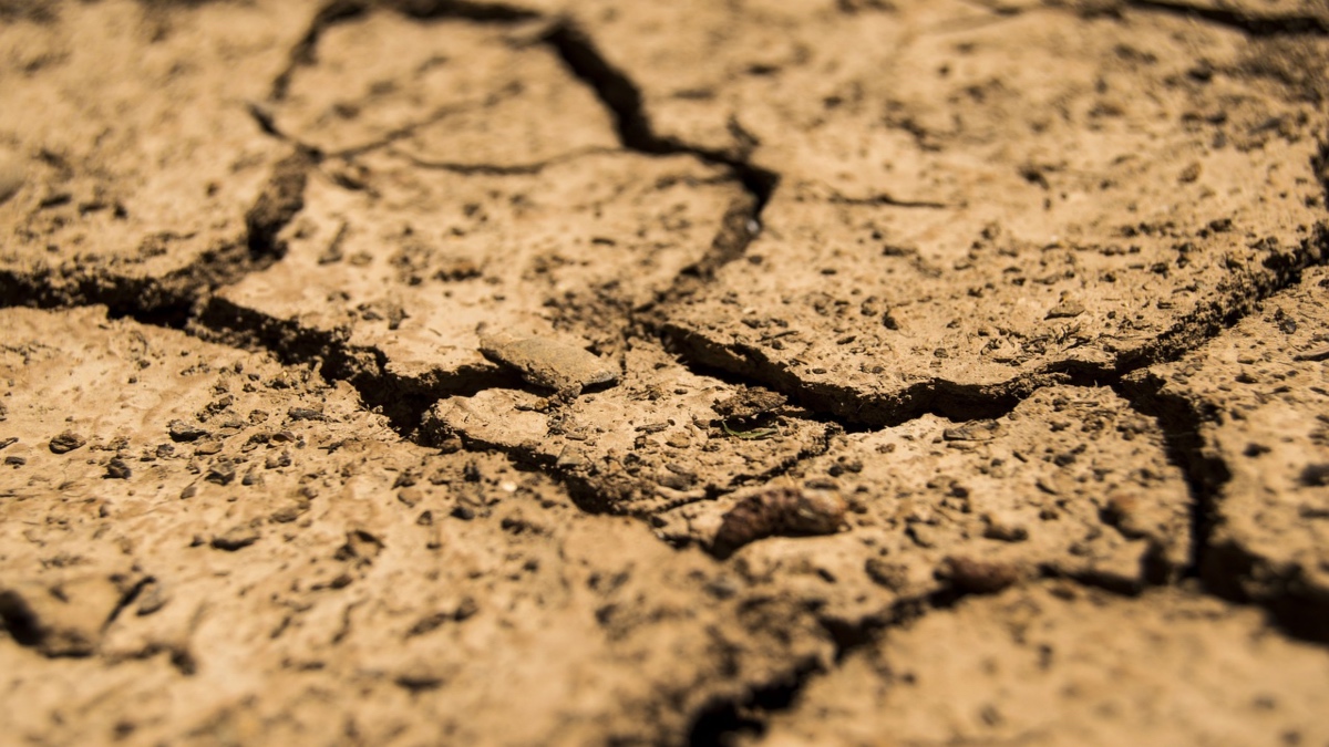 En Sinaloa la sequía y el desperdicio de agua son los retos a enfrentar por el sector agrícola