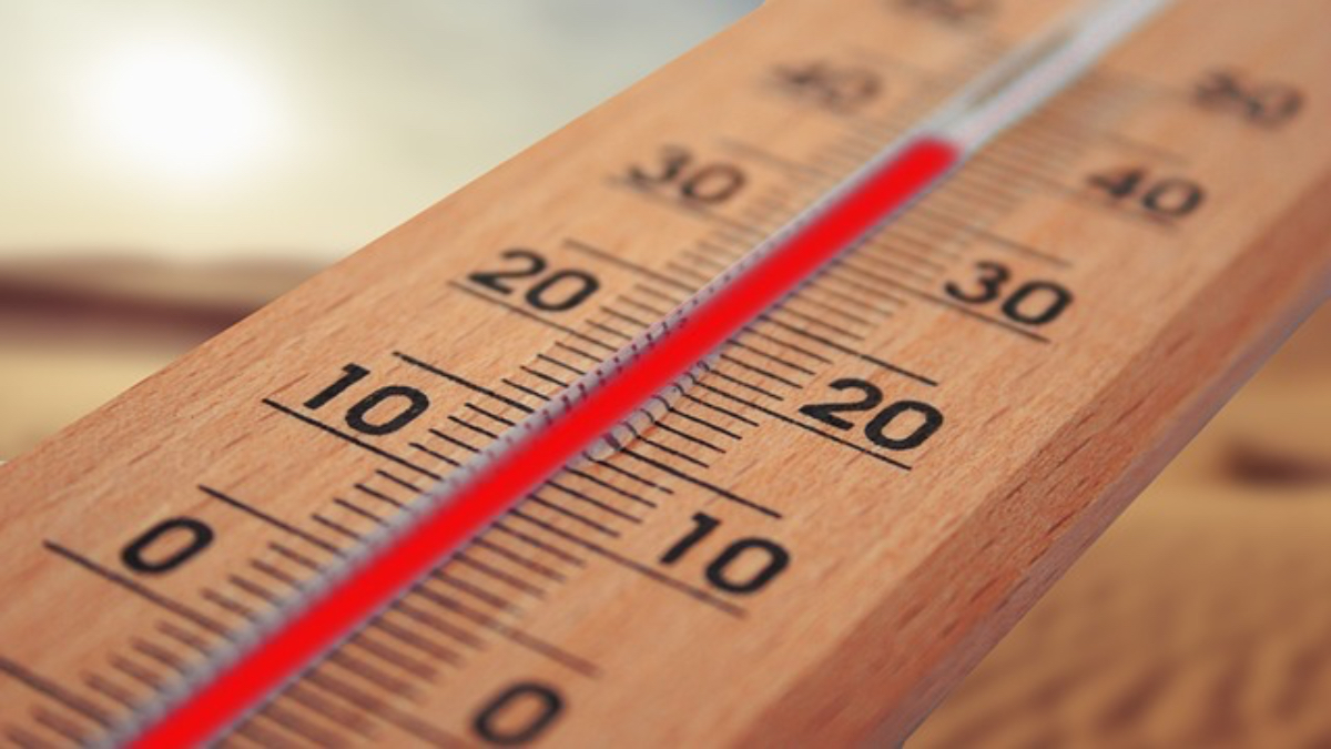 2023: Hasta ahora ha sido el año más caliente de la historia