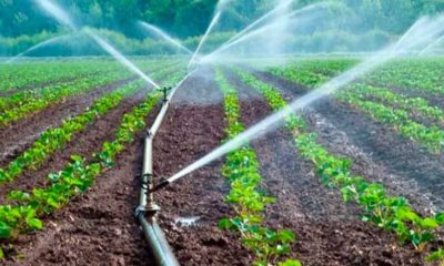 Critican declaraciones de AMLO sobre acaparamiento de agua de agricultores en Chihuahua