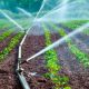 Critican declaraciones de AMLO sobre acaparamiento de agua de agricultores en Chihuahua