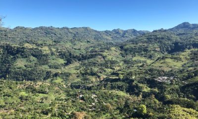 Bosques en Tamazunchale en San Luis Potosí serán declarados como Área Natural Protegida: Segam
