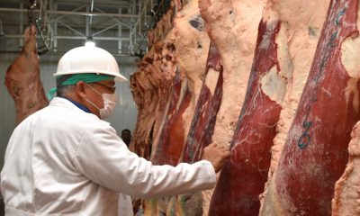 PT alerta sobre la calidad sanitaria de la carne importada y pide proteger a productores nacionales