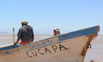 Piden que autoridades federales dejen pescar a la comunidad Cucapah