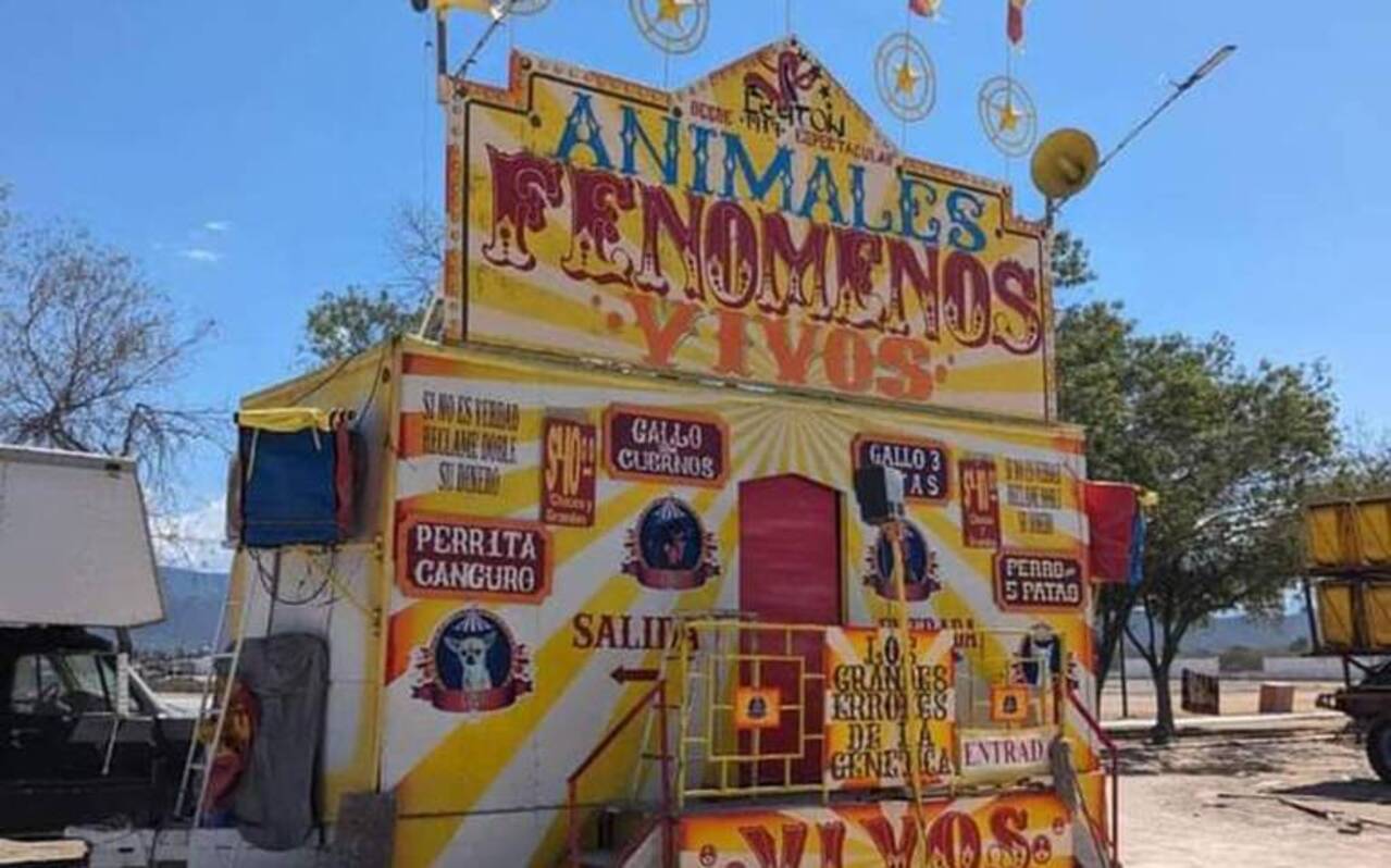 Autoridades de Nuevo León clausuran circo que exhibía como “fenómenos” a animales con malformaciones