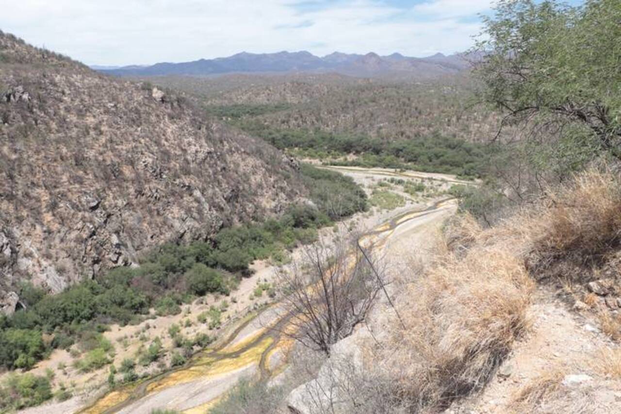 Los productores de la cuenca del Río Sonora aún luchan contra estigma por derrame tóxico