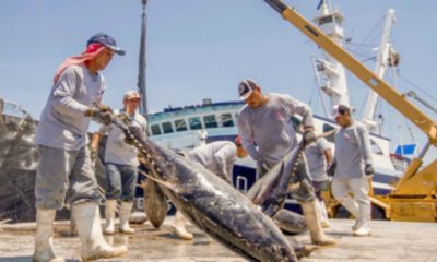 Mal tiempo y hasta rescatar náufragos: así se vive los atuneros de Mazatlán