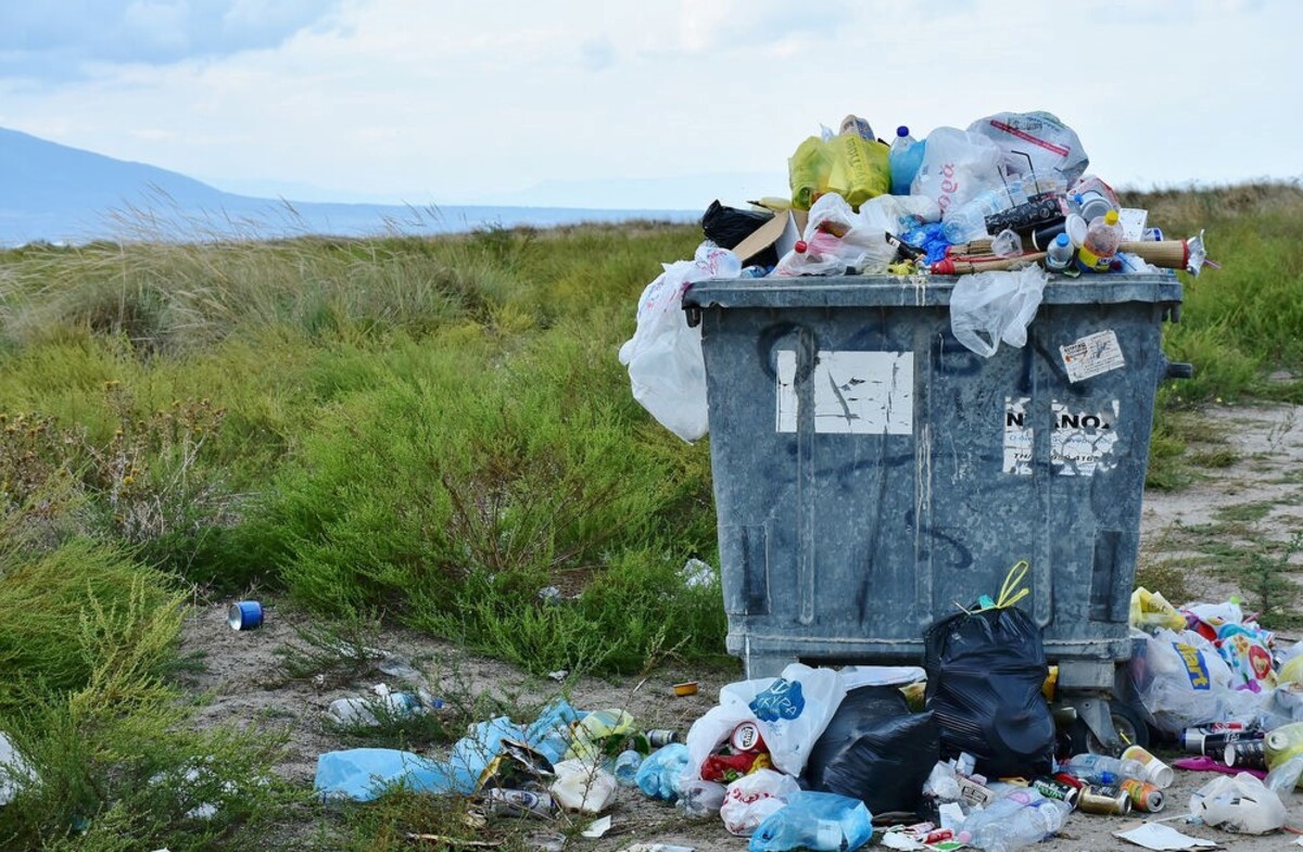 Los ecologistas piden a turistas evitar recoger basura fuera de las sendas en parques naturales de Alemania
