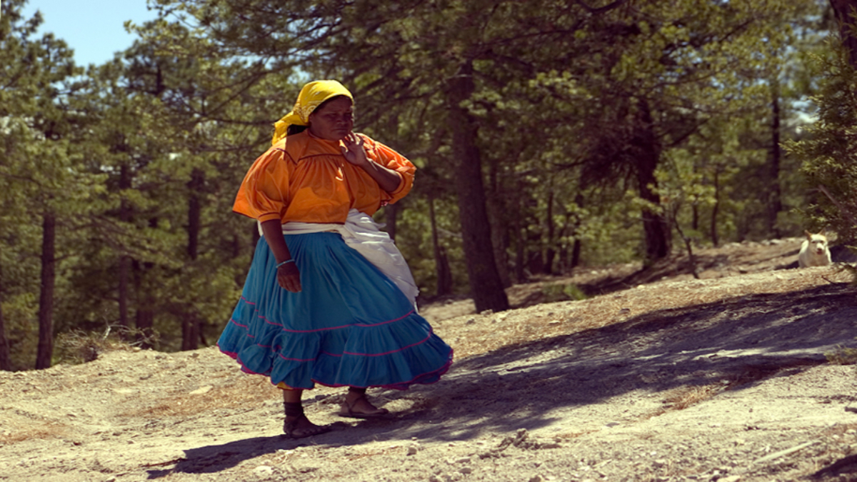 En la sierra Tarahumara hay hasta 82% de rezago educativo: Coneval