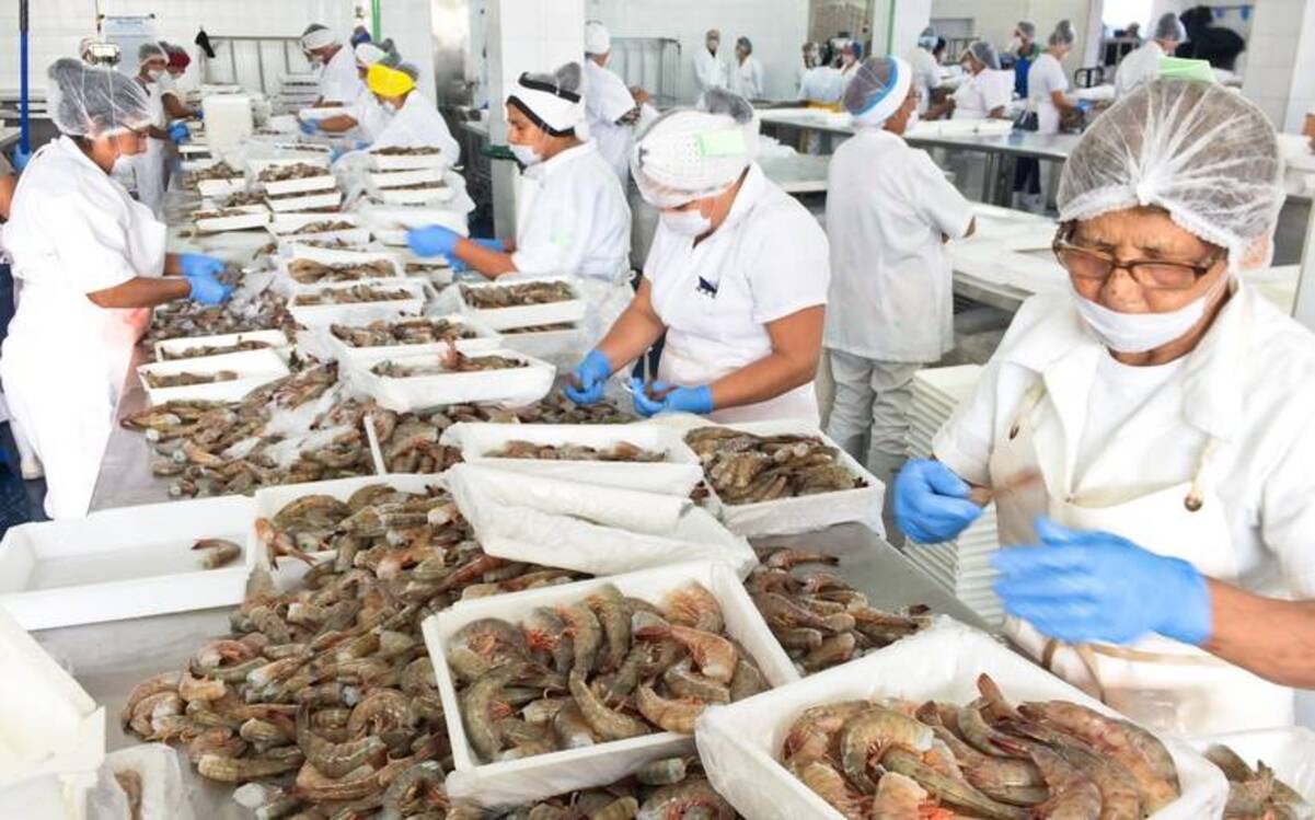 Los pescadores de Tamaulipas están inconformes y preocupados por ampliación de veda de camarón