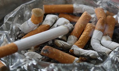 Empresas que van contra prohibición de tabaco, ponen en juego la salud de los mexicanos: Ernesto Pérez Astorga
