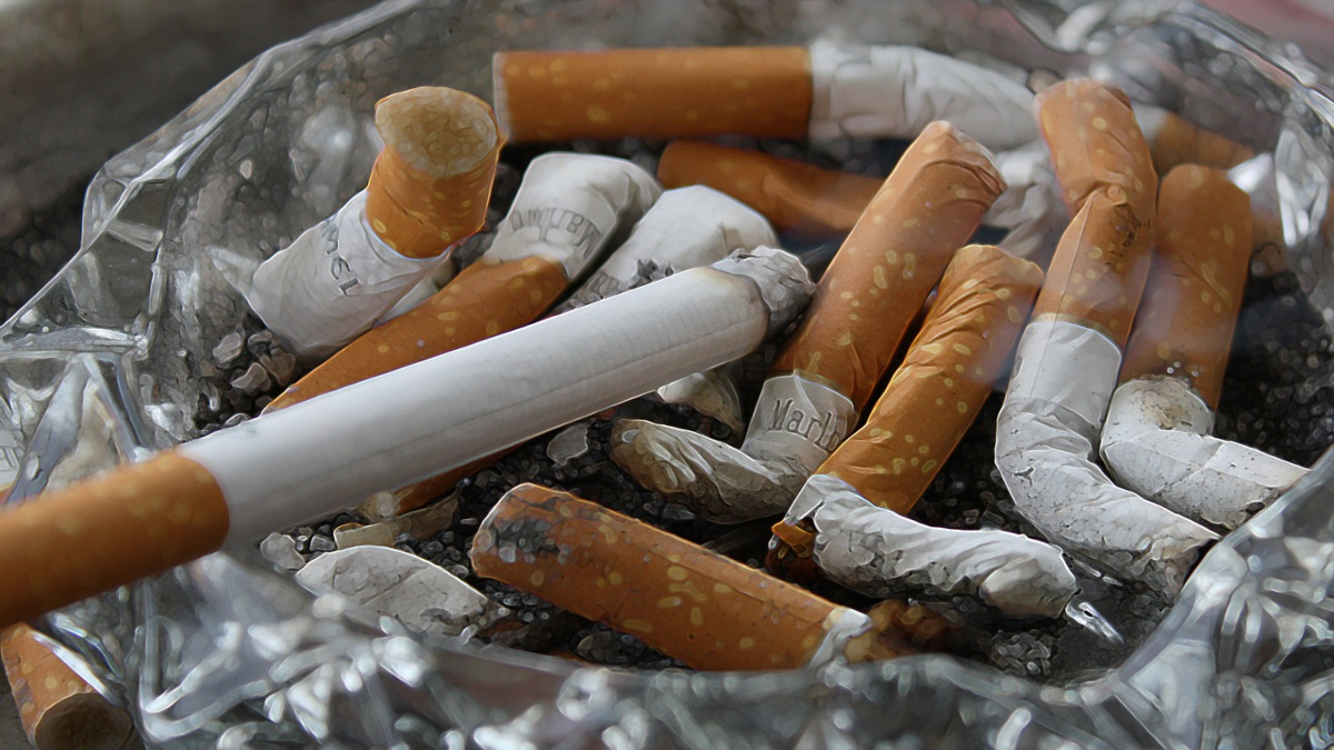 Empresas que van contra prohibición de tabaco, ponen en juego la salud de los mexicanos: Ernesto Pérez Astorga