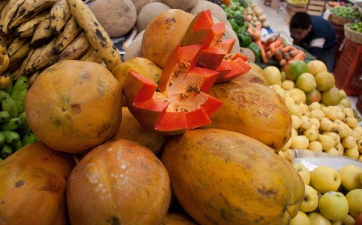 El crimen organizado controla la siembra de papaya en Tierra Caliente de Michoacán