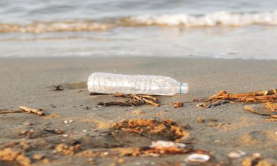 Crece preocupación por suciedad, aguas estancadas y basura en las playas de Mazatlán