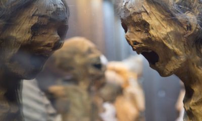 Reviven a las momias de Guanajuato en la era del streaming con la serie "Pinches momias"