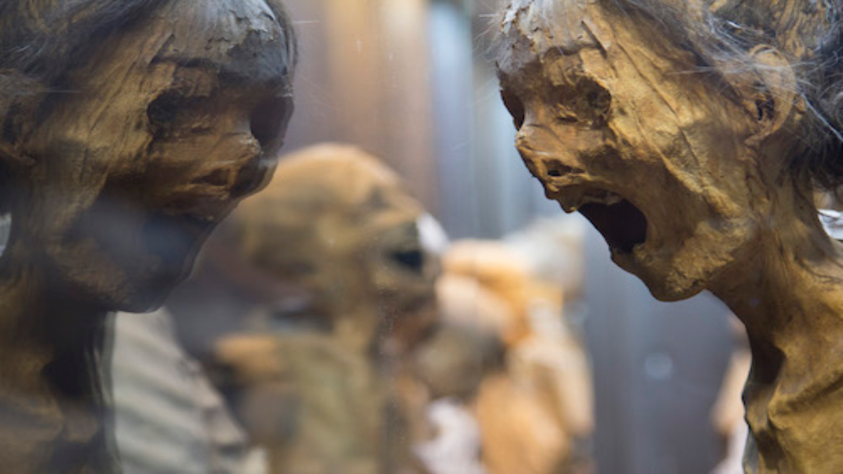 Reviven a las momias de Guanajuato en la era del streaming con la serie “Pinches momias”