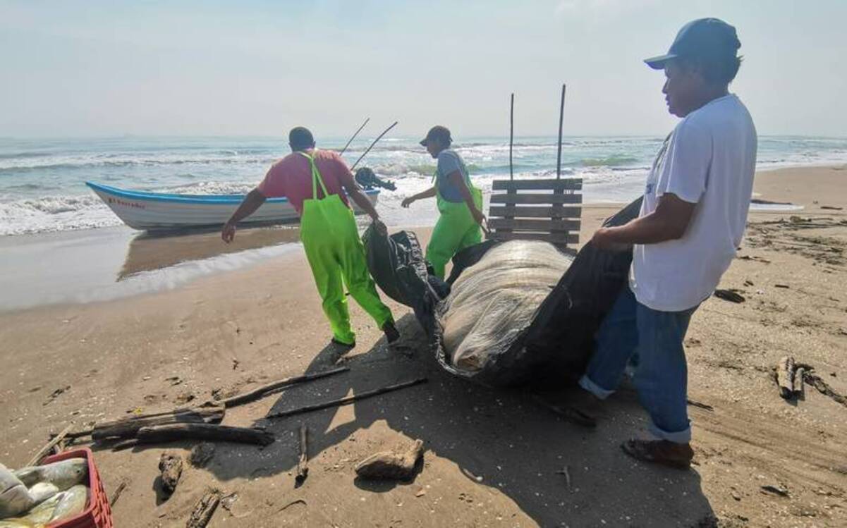 Los pescadores del norte de Veracruz están al margen de los programas de AMLO