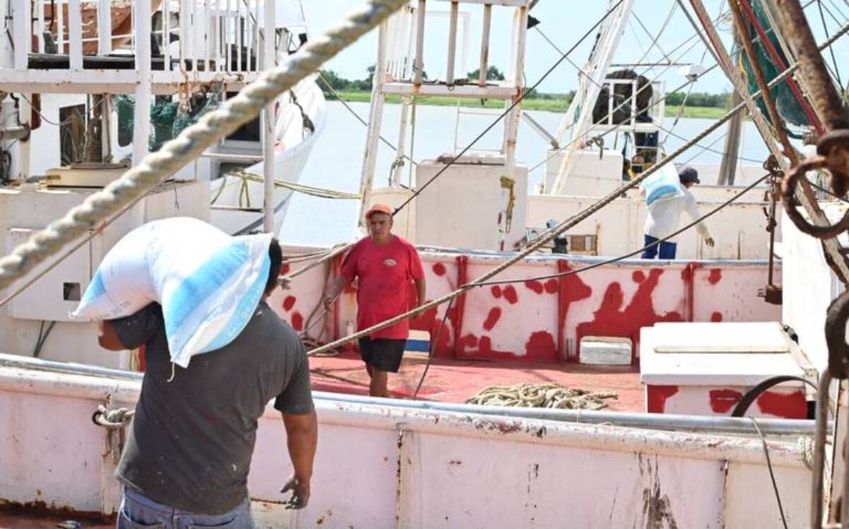 Los pescadores de Tamaulipas tienen cada vez menos capturas