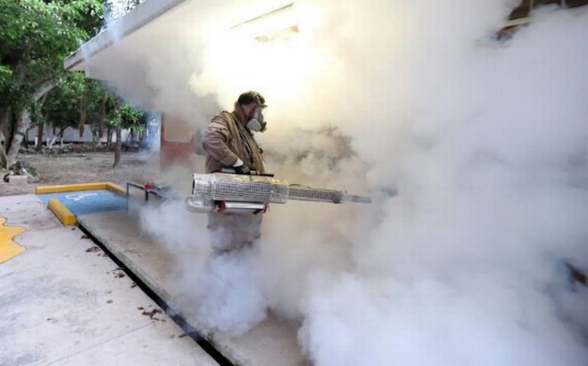 Se cuatriplican los casos de dengue este año: Secretaría de Salud federal
