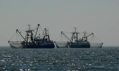China: La superpotencia del marisco que predomina con la mano de obra migrante