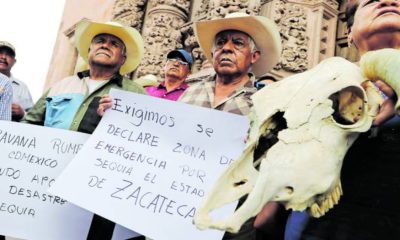 Caravana de productores de frijol parte de Zacatecas hacía la Ciudad de México
