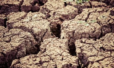 Tres regiones de Guerrero sufrirán por la sequía y falta de agua potable