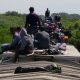La indiferencia también mata a los migrantes: Las Patronas