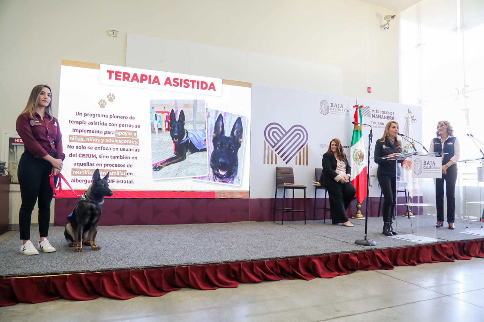 El canino Toñita da terapia a niñas, niños y adolescentes víctimas de violencia en Baja California
