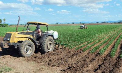 Tras paso de Norma, Cesavesin cuantifica y reporta daños agrícolas en Sinaloa