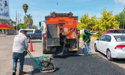 Opacidad: Ayuntamientos de Sinaloa contratan más de 288 mdp en obra por adjudicación directa
