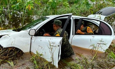 Indemnización por seguro de daños y de autos en Guerrero es de alrededor de 11 mil 424 mdp: AMIS