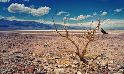 La sequía afecta 8 de cada 10 municipios del país; es la peor en cinco años