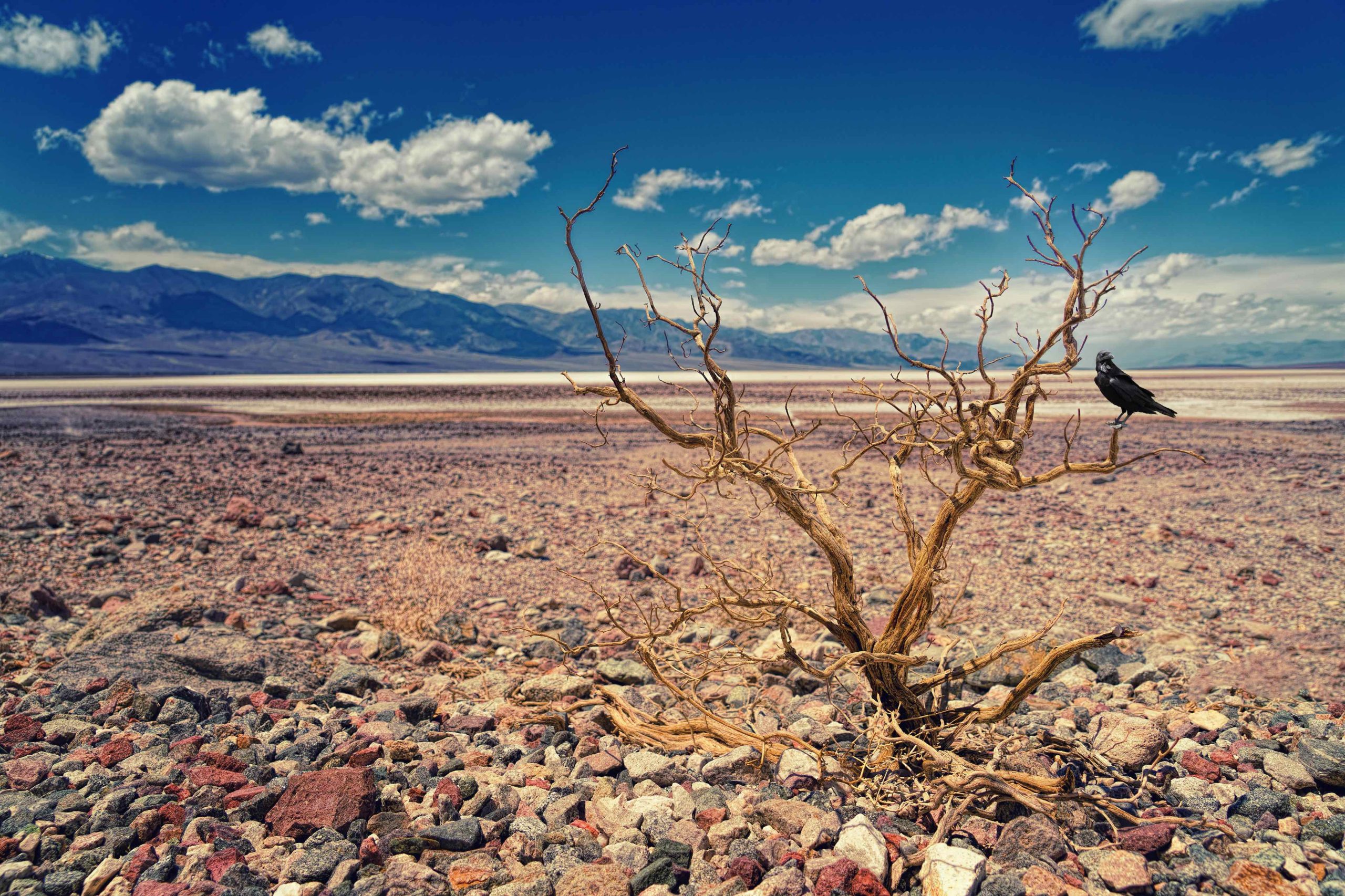 La sequía afecta 8 de cada 10 municipios del país; es la peor en cinco años