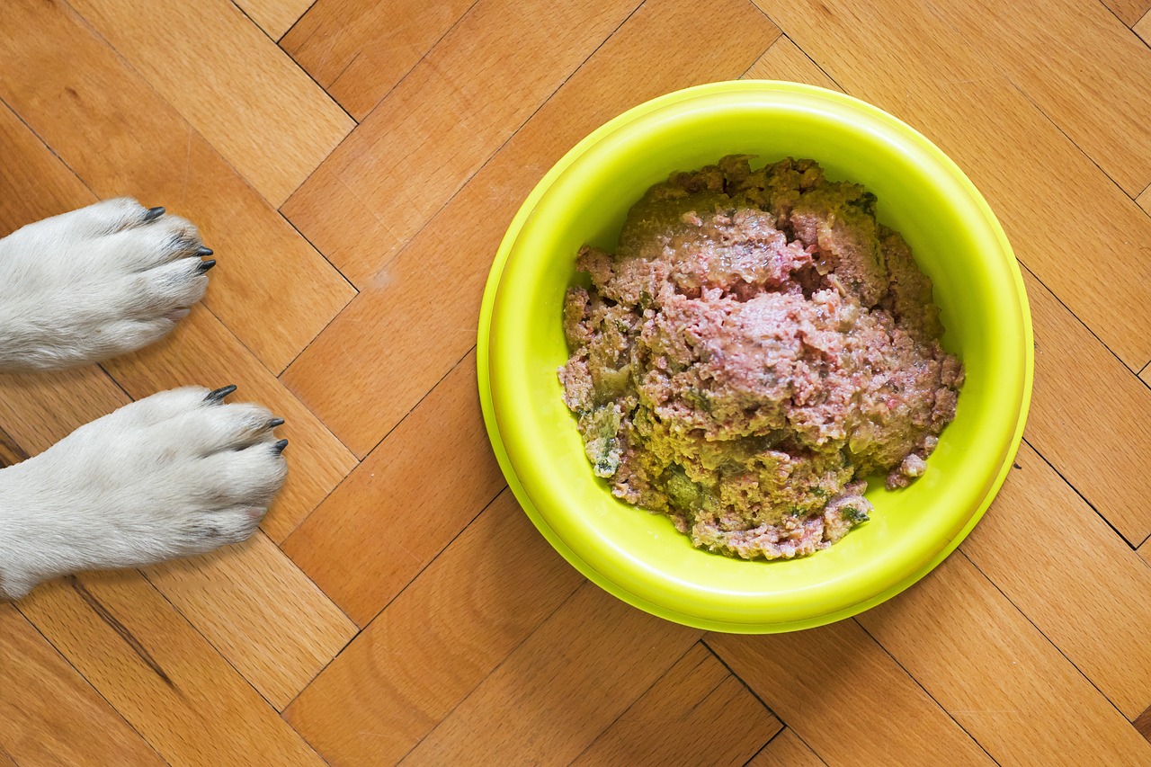 Te contamos todo sobre cómo enriquecer la dieta de tu perro