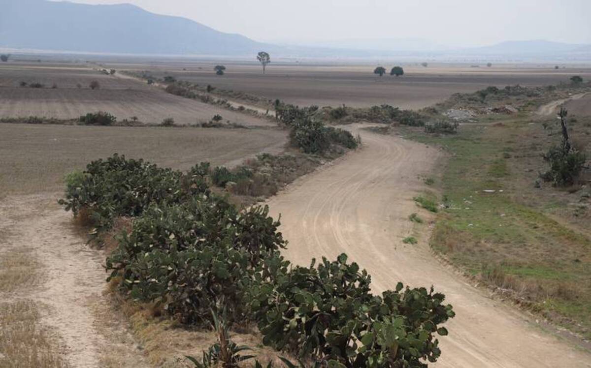 Disminuyen las afectaciones por la sequía en Hidalgo