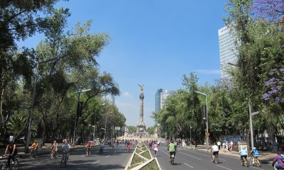 Buscan castigar a quienes dañen el medioambiente en la Ciudad de México