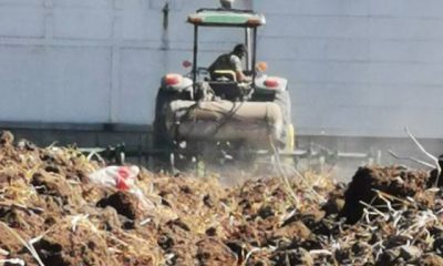 En Sinaloa, la falta de agua y suspensión de Expo Agro evidencian crisis agrícola